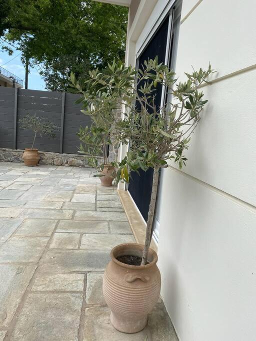 Villa Oleander Agios Nikolaos Loutra Edipsou Екстериор снимка