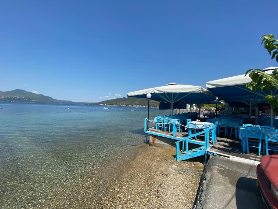 Villa Oleander Agios Nikolaos Loutra Edipsou Екстериор снимка